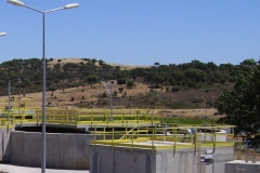 borba2